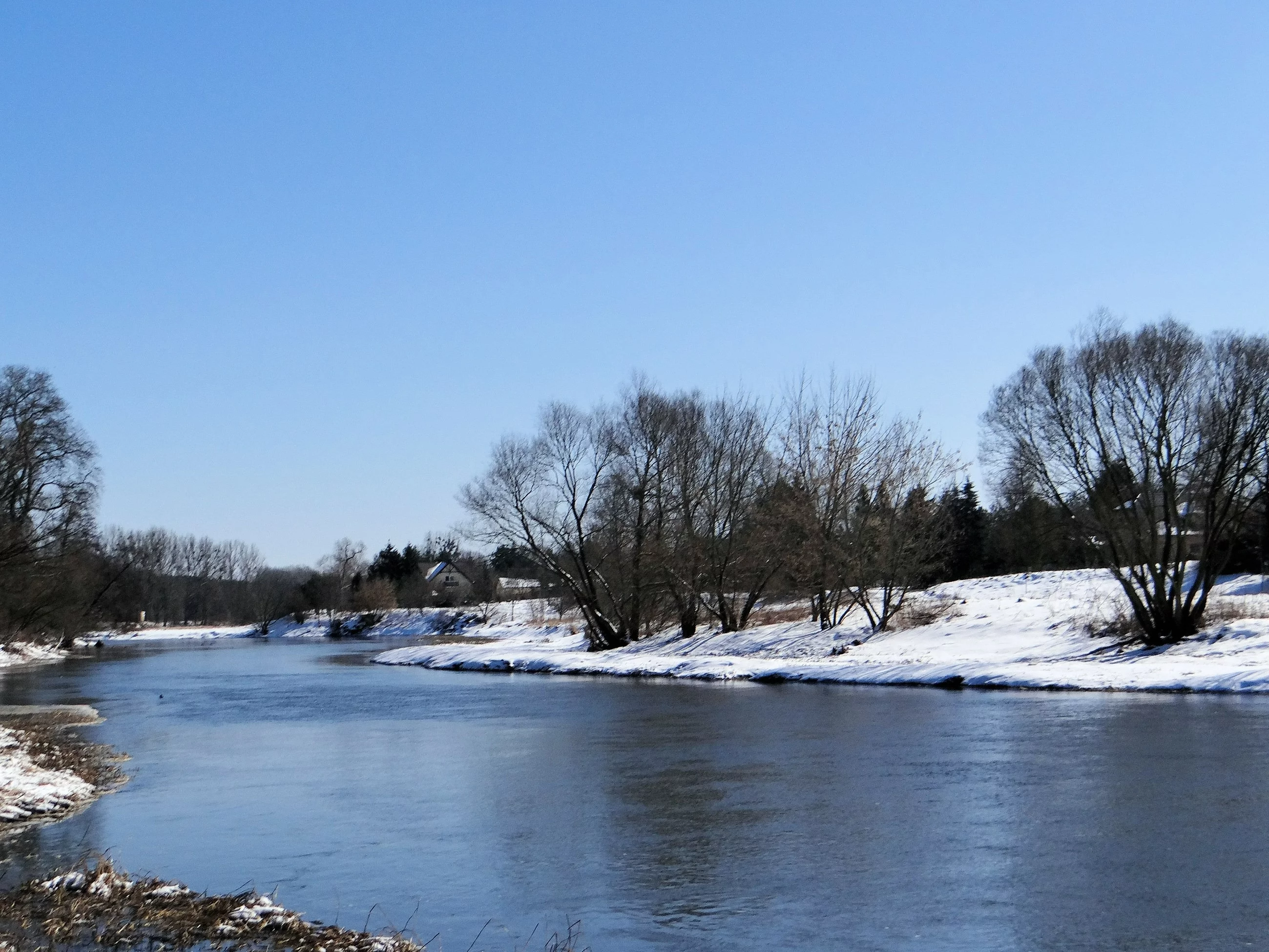 Dla tego parku warto odwiedzić małą wioskę. Tylko 45 km od Warszawy