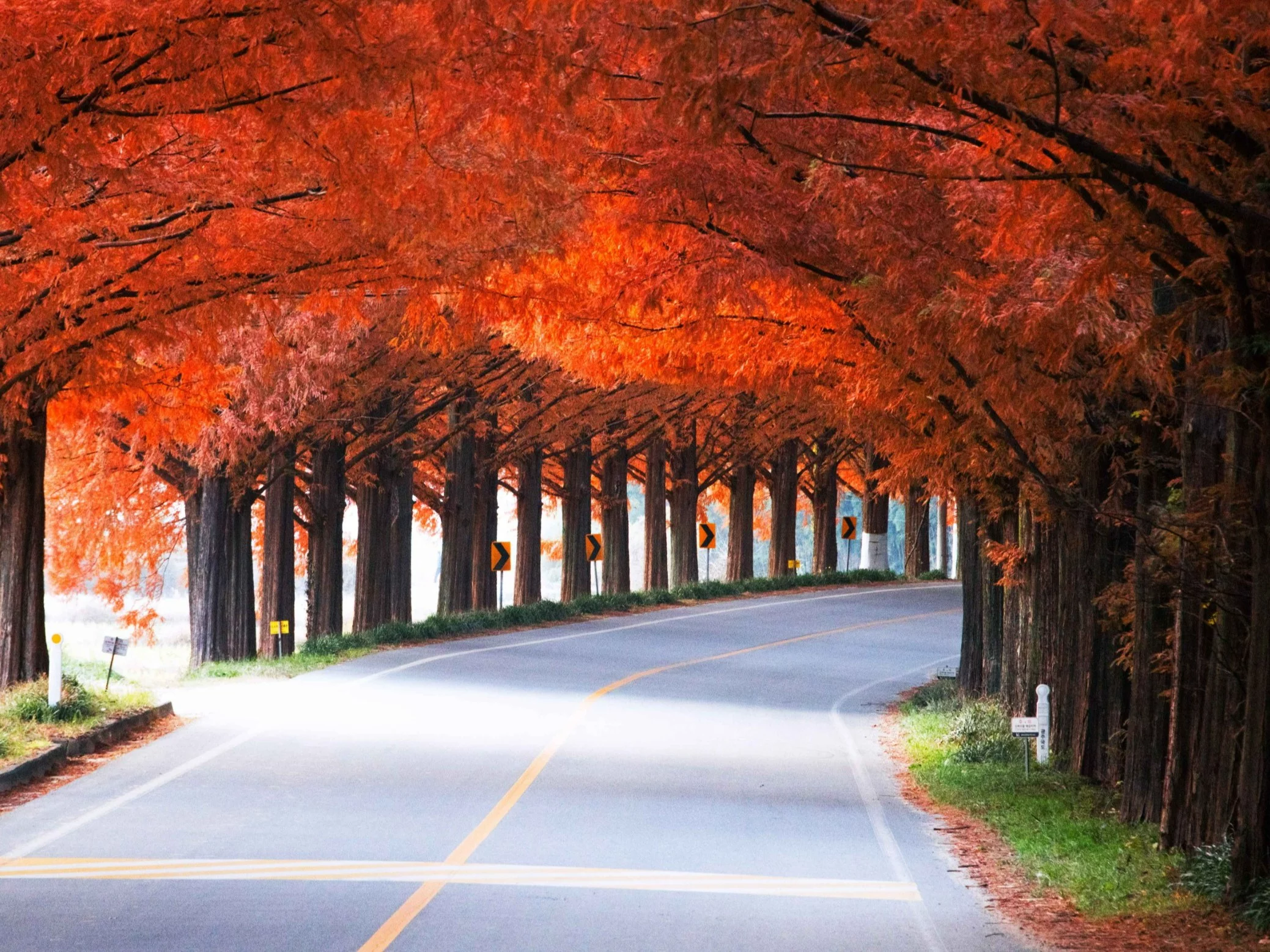 W tym kraju jesień jest najpiękniejsza. „Warto przeżyć co najmniej raz w życiu”