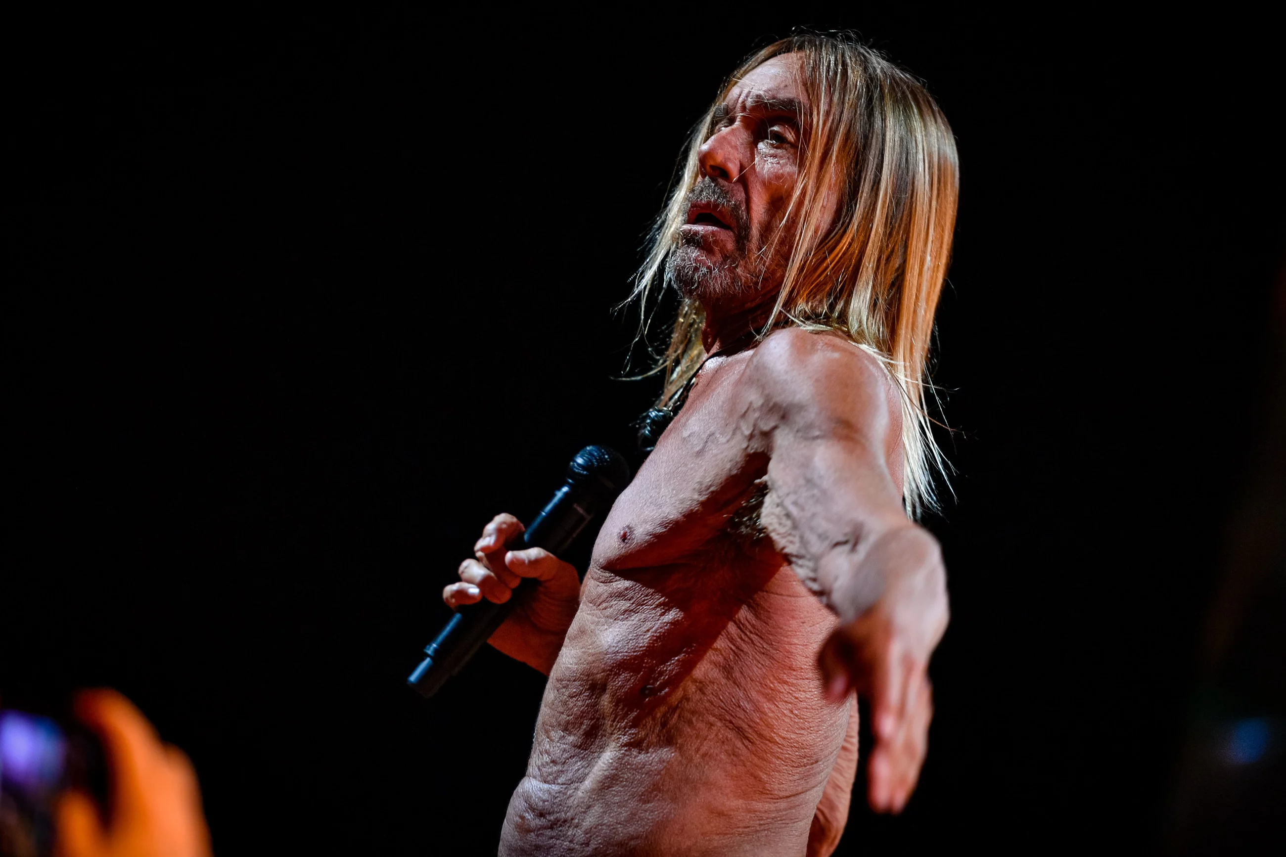 Iggy Pop