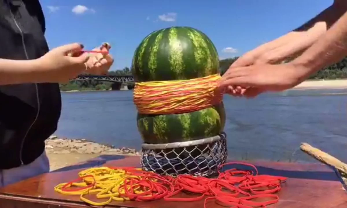 TOTERAZ wykonują eksperyment z arbuzem