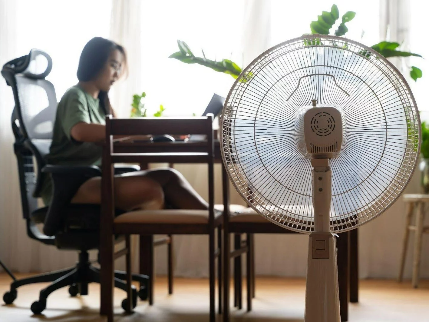 Czy wiatrak stojący się opłaca?