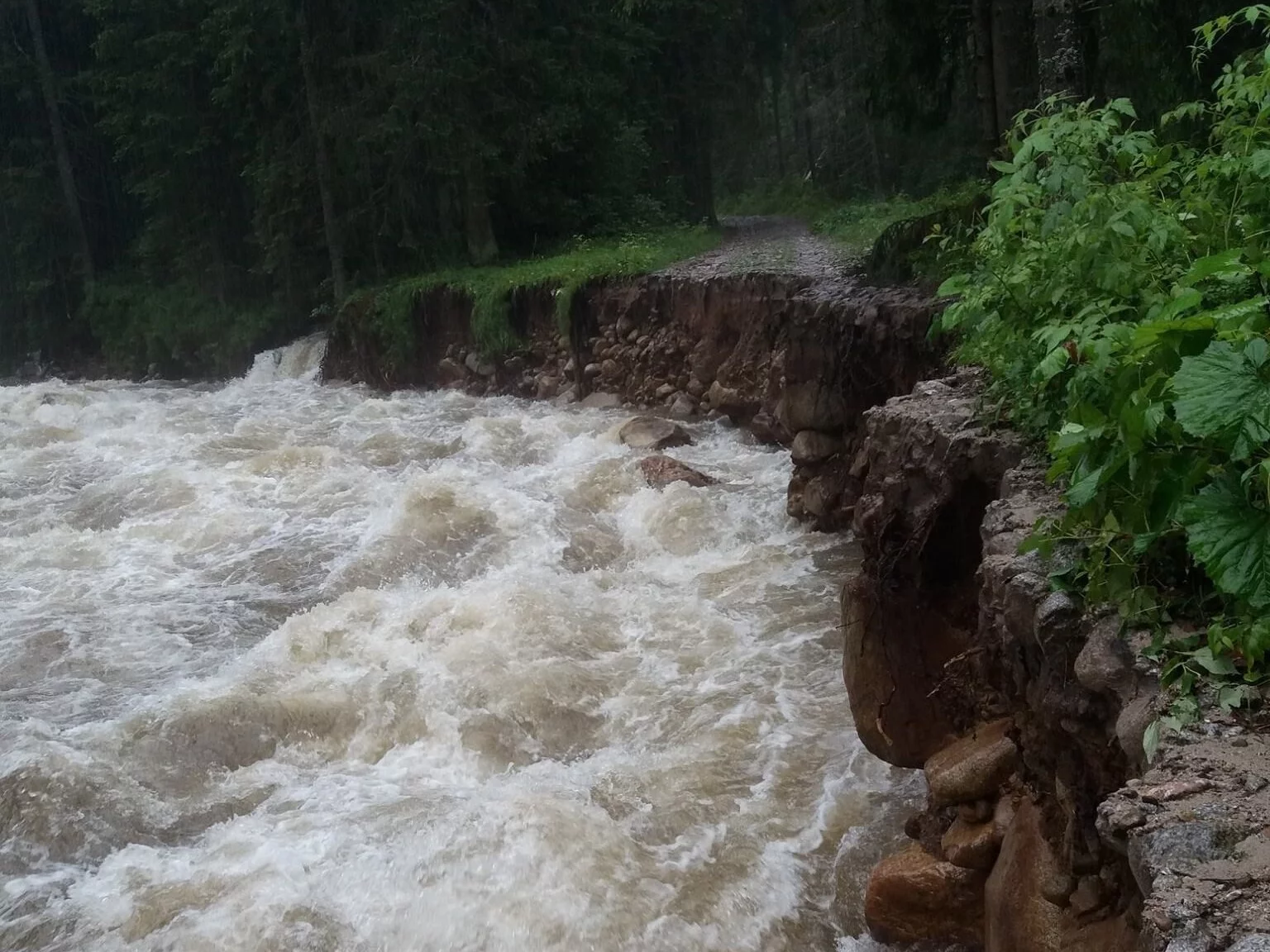 Rwący potok po ulewach w Tatrach