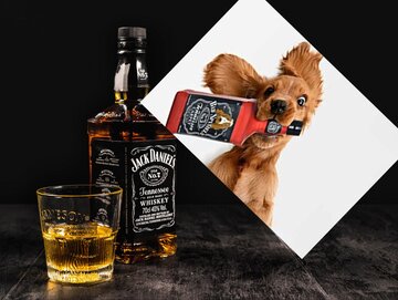 Jack Daniel's vs Bad Spaniels