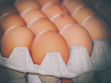 Jajka, zdjęcie ilustracyjne
