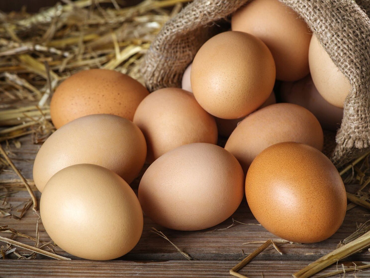 Купить инкубационное яйцо в воронежской области