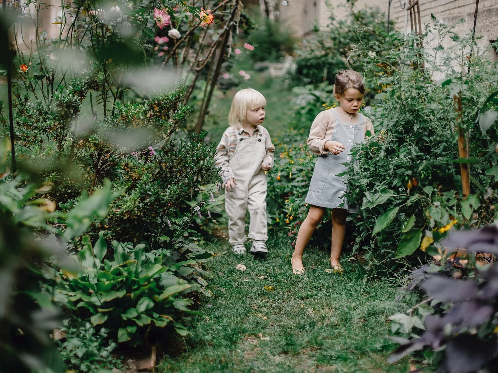 Cute siblings resting in green garden