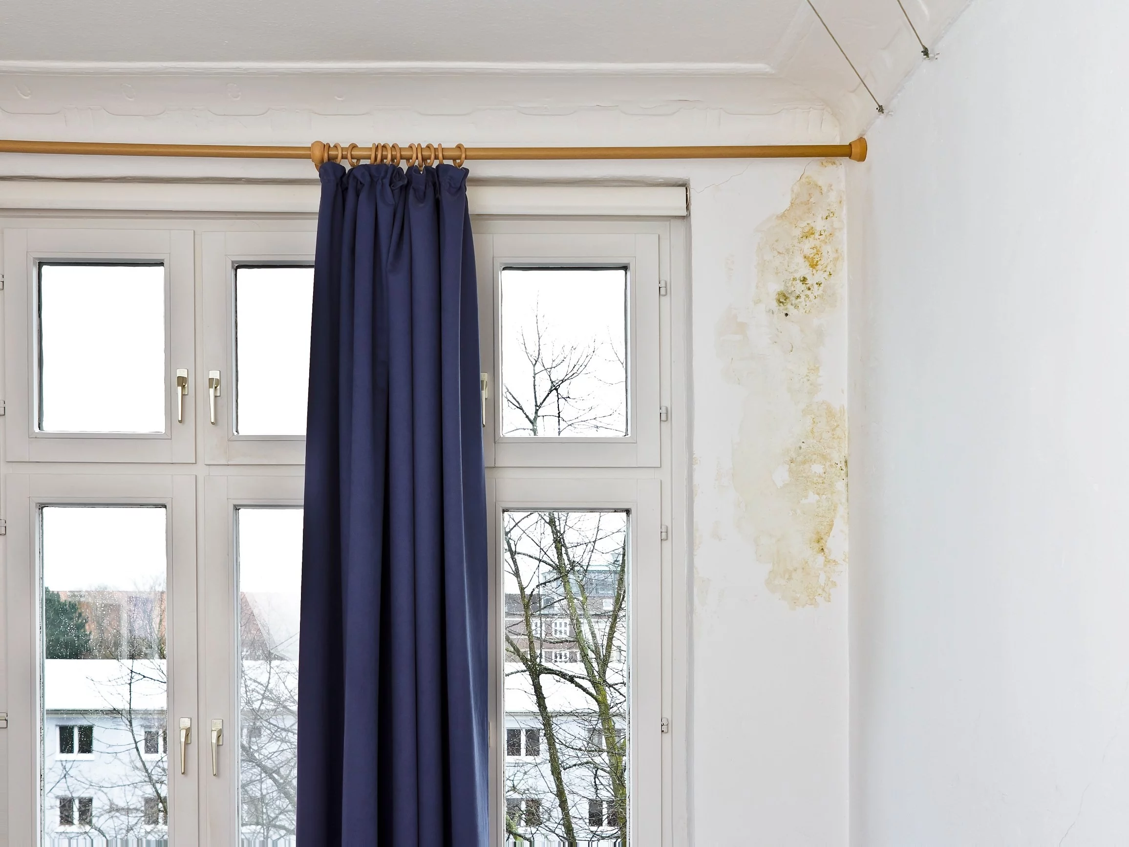 Domowe sposoby na grzyba na ścianie