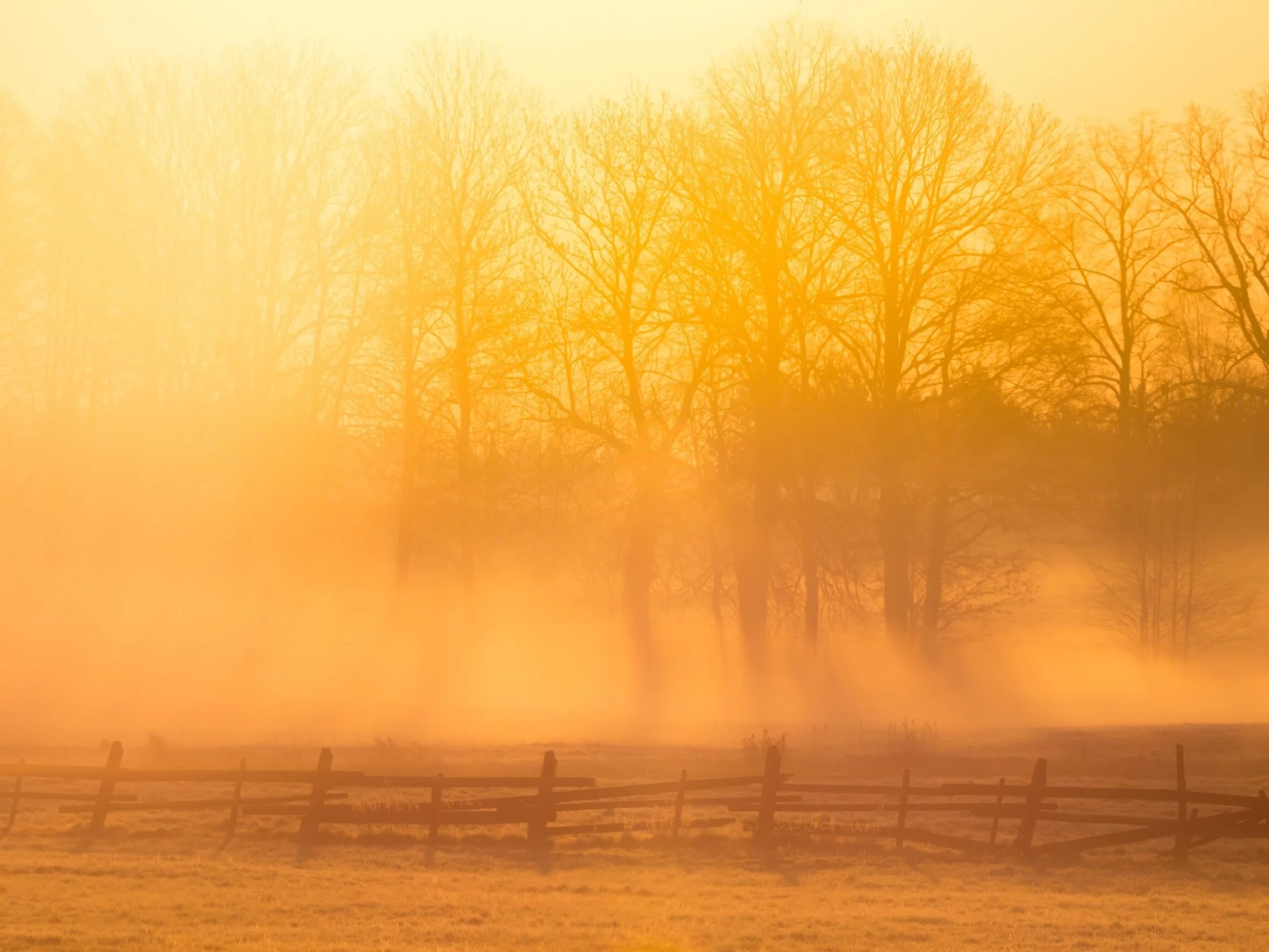 Podlasie. Okolice Puszczy Knyszyńskiej