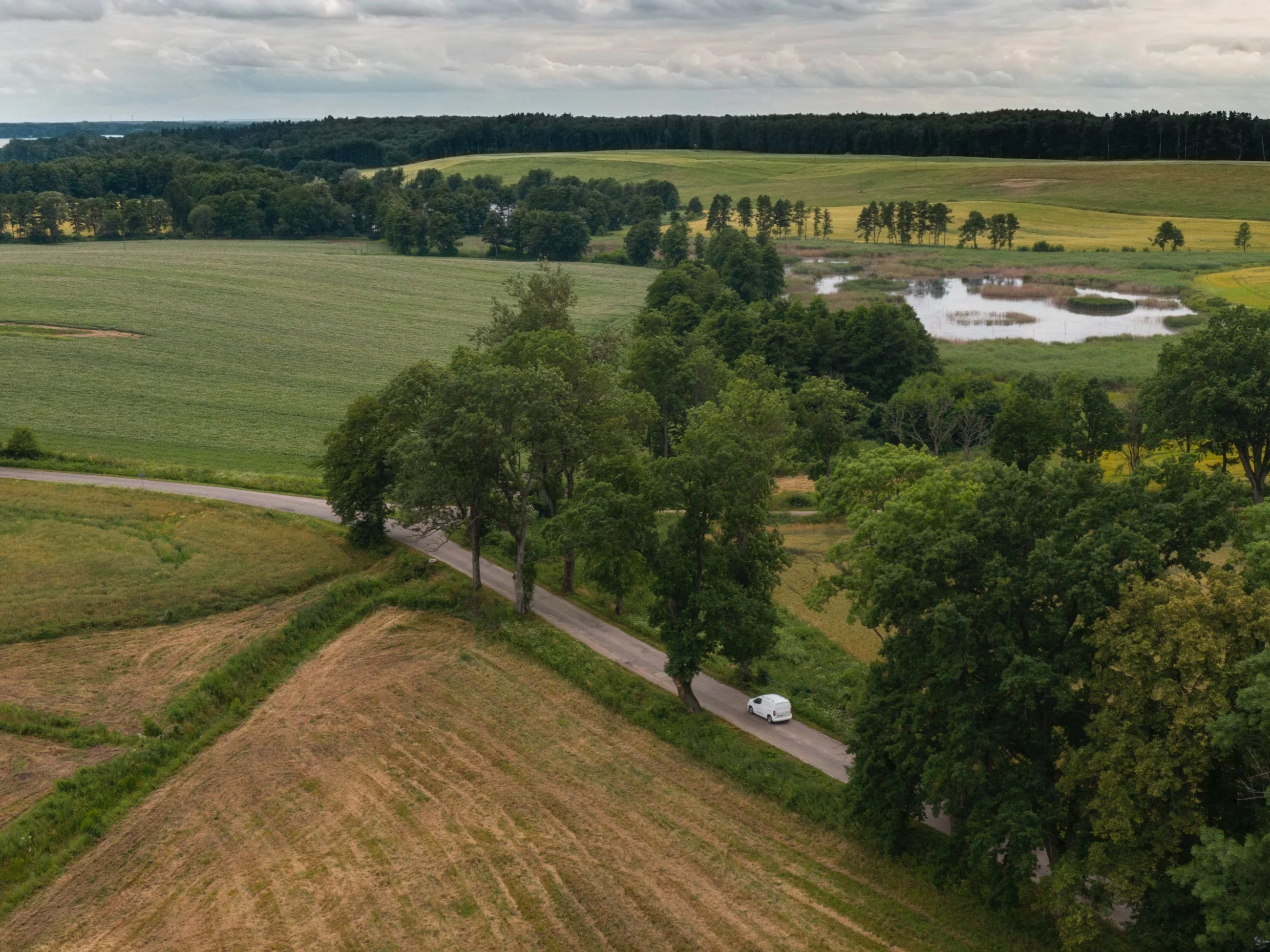 Mazury