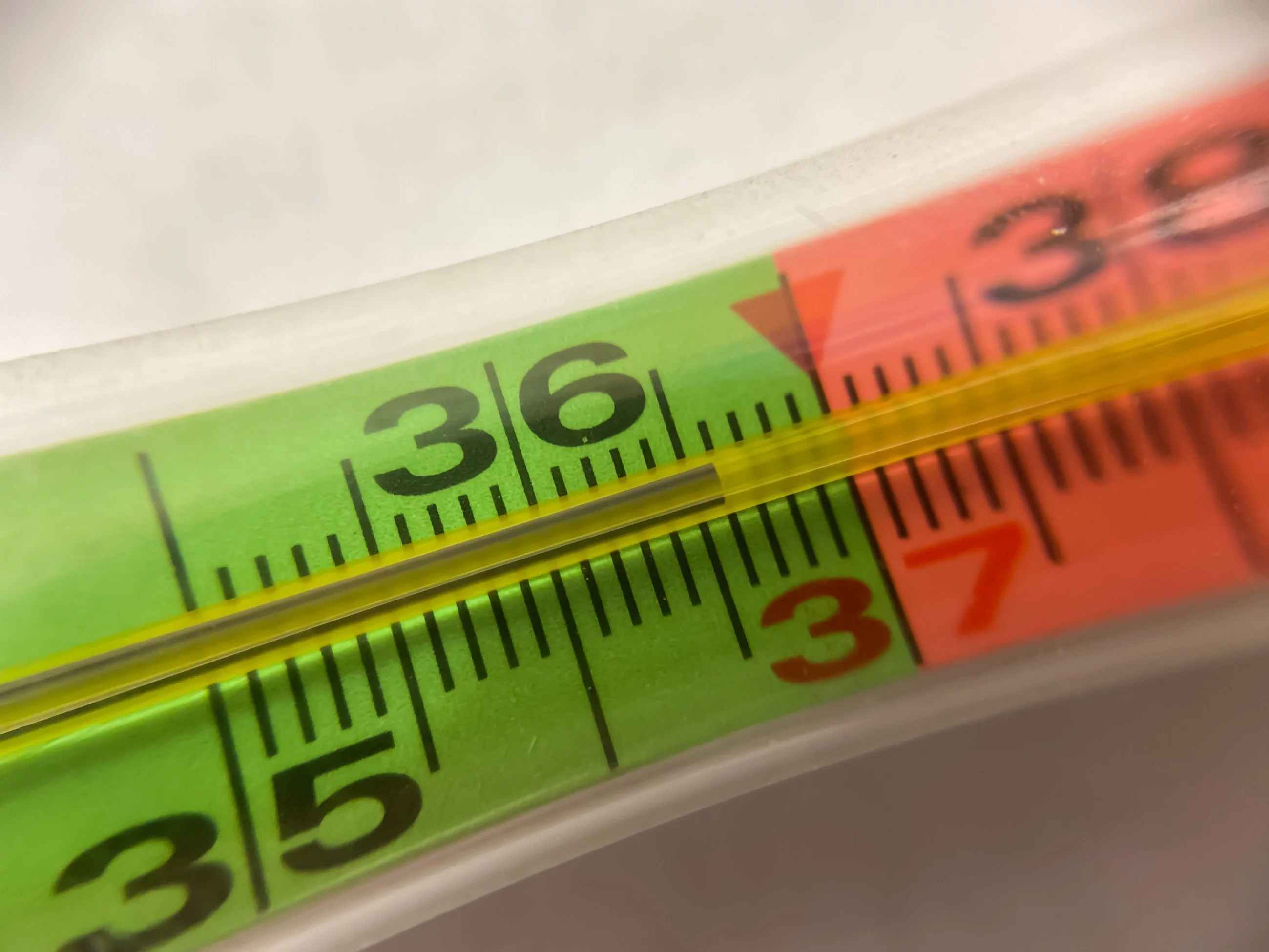 Termometr z temperaturą 36,6 stopni Celsjusza