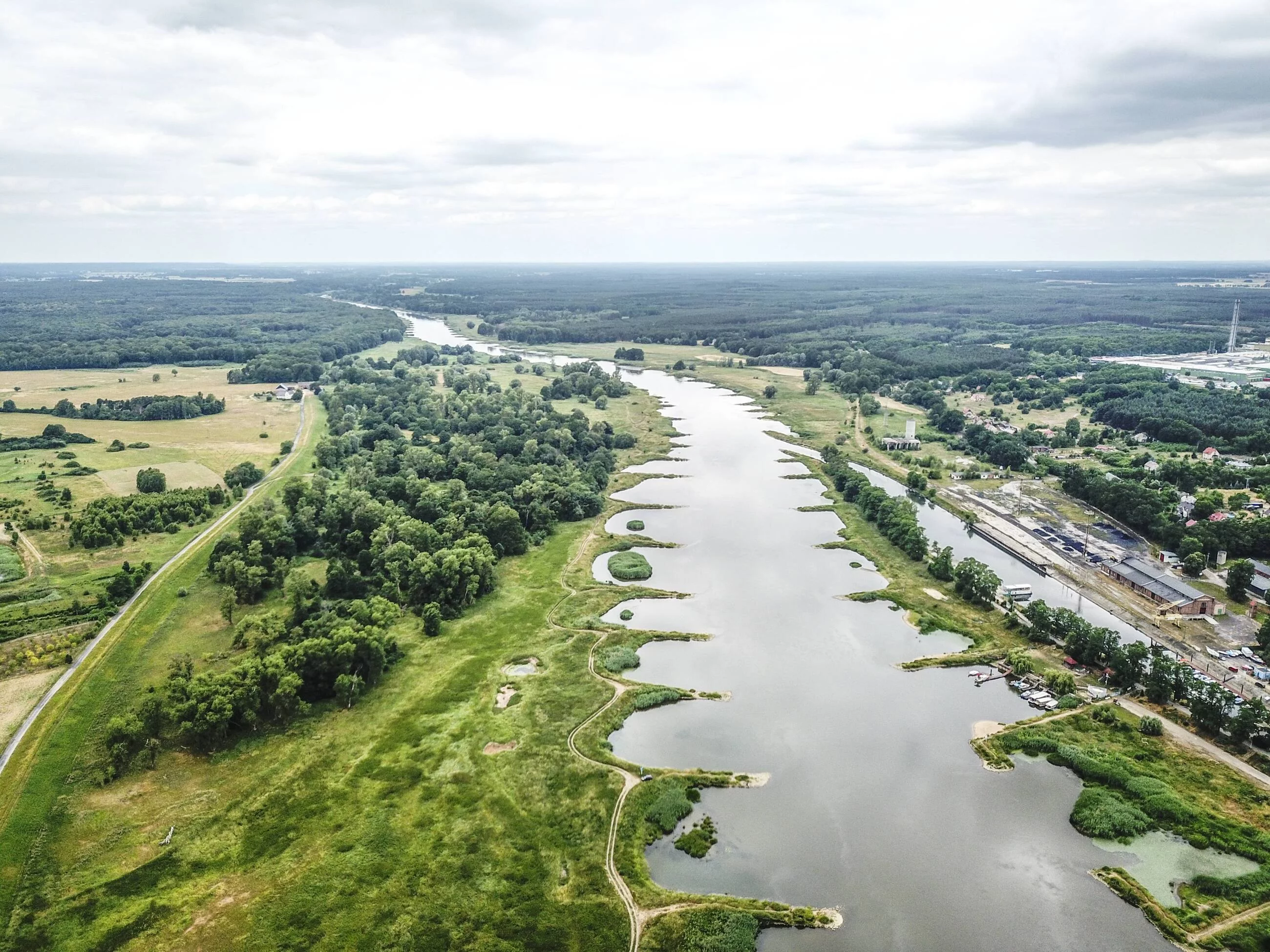 Rzeka Odra