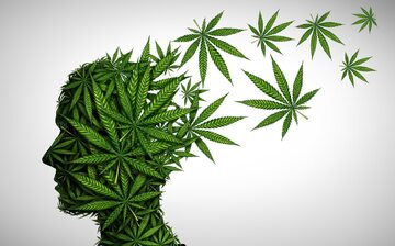 Jaki wpływ na psychikę ma marihuana?