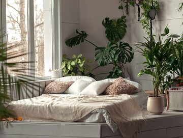 Jakich roślin lepiej nie stawiać w sypialni?