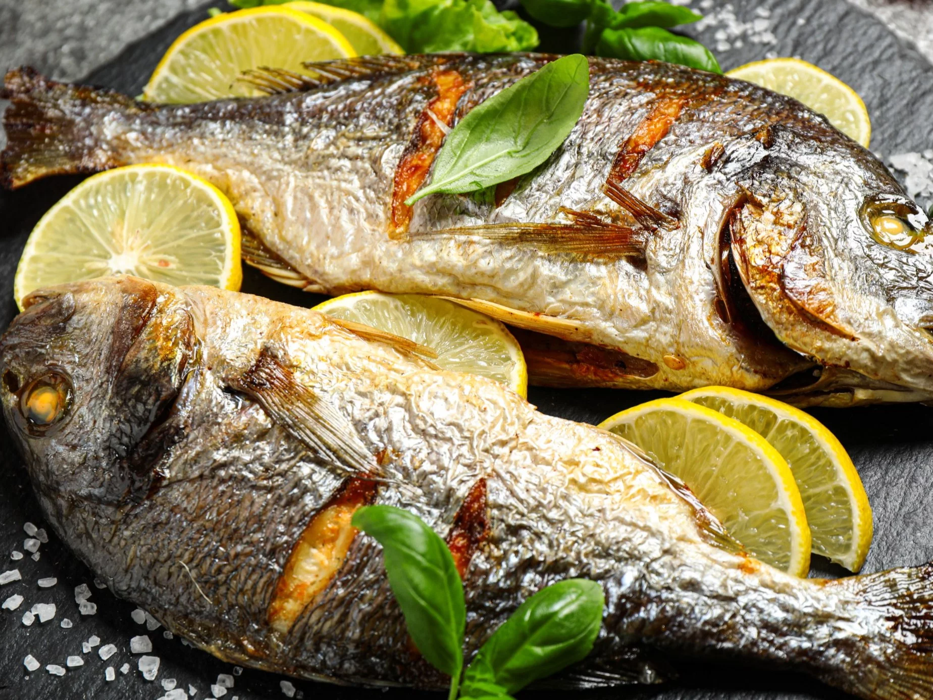 Dorada, zdjęcie ilustracyjne