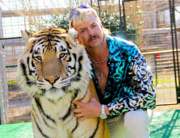 Kadr z dokumentu „Król tygrysów”