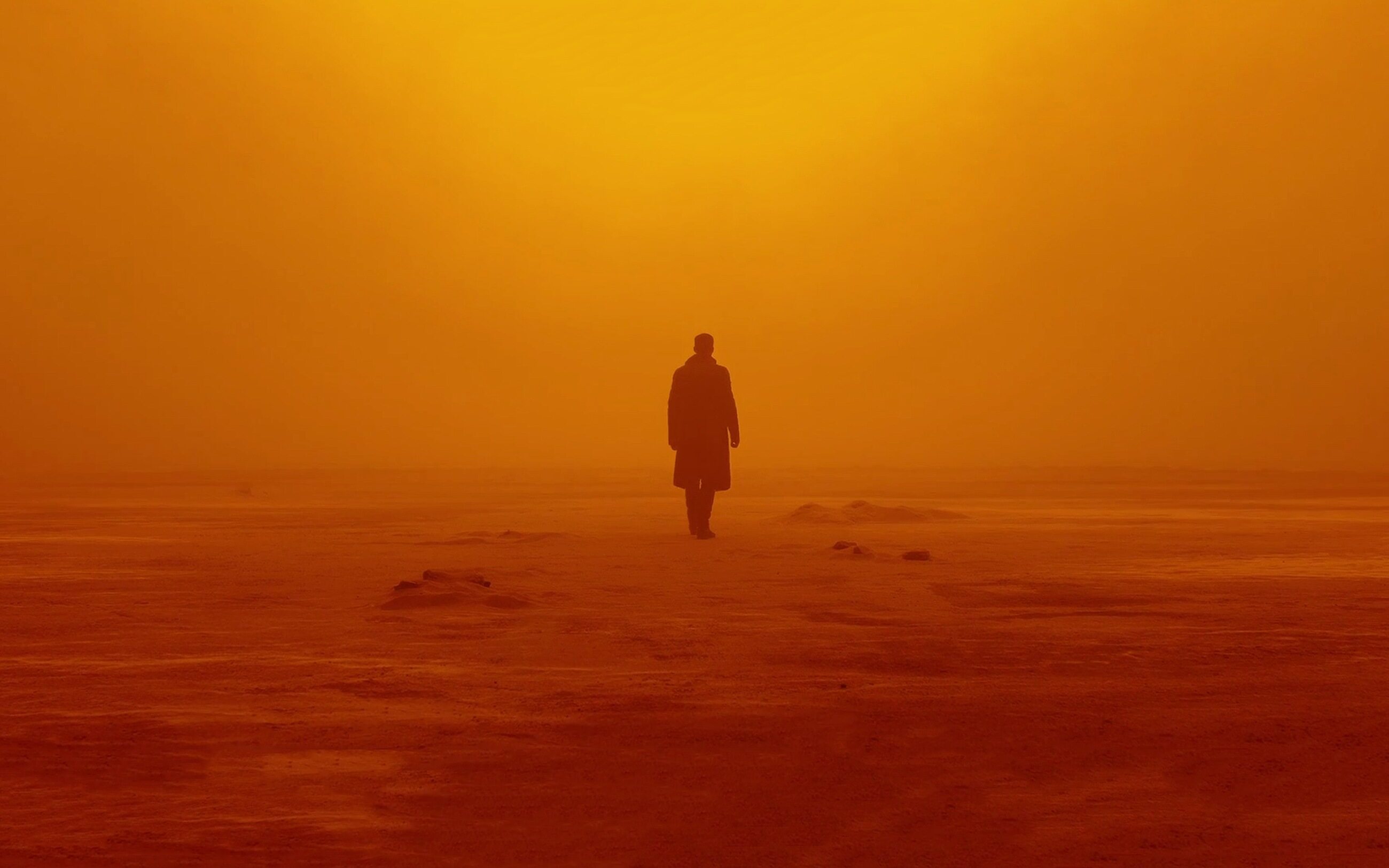 kadr z filmu "Blade Runner 2049" (2017)