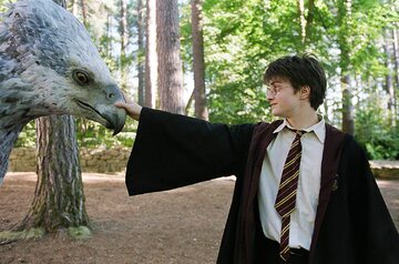 Kadr z filmu o przygodach Harry'ego Pottera