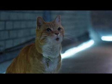 Kadr z filmu „Psy i koty 3: Łapa w łapę”