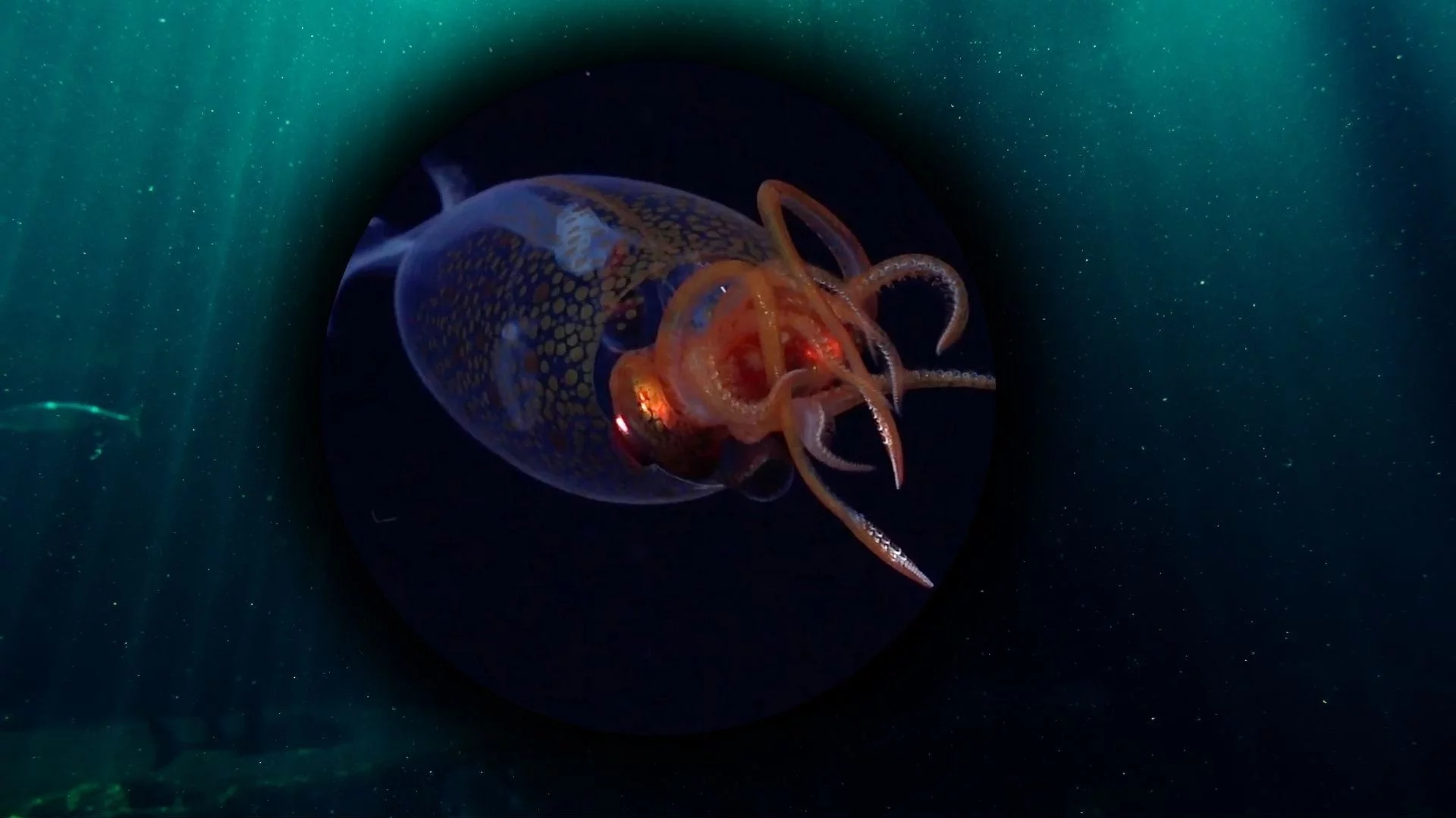 Kałamarnica kolosalna