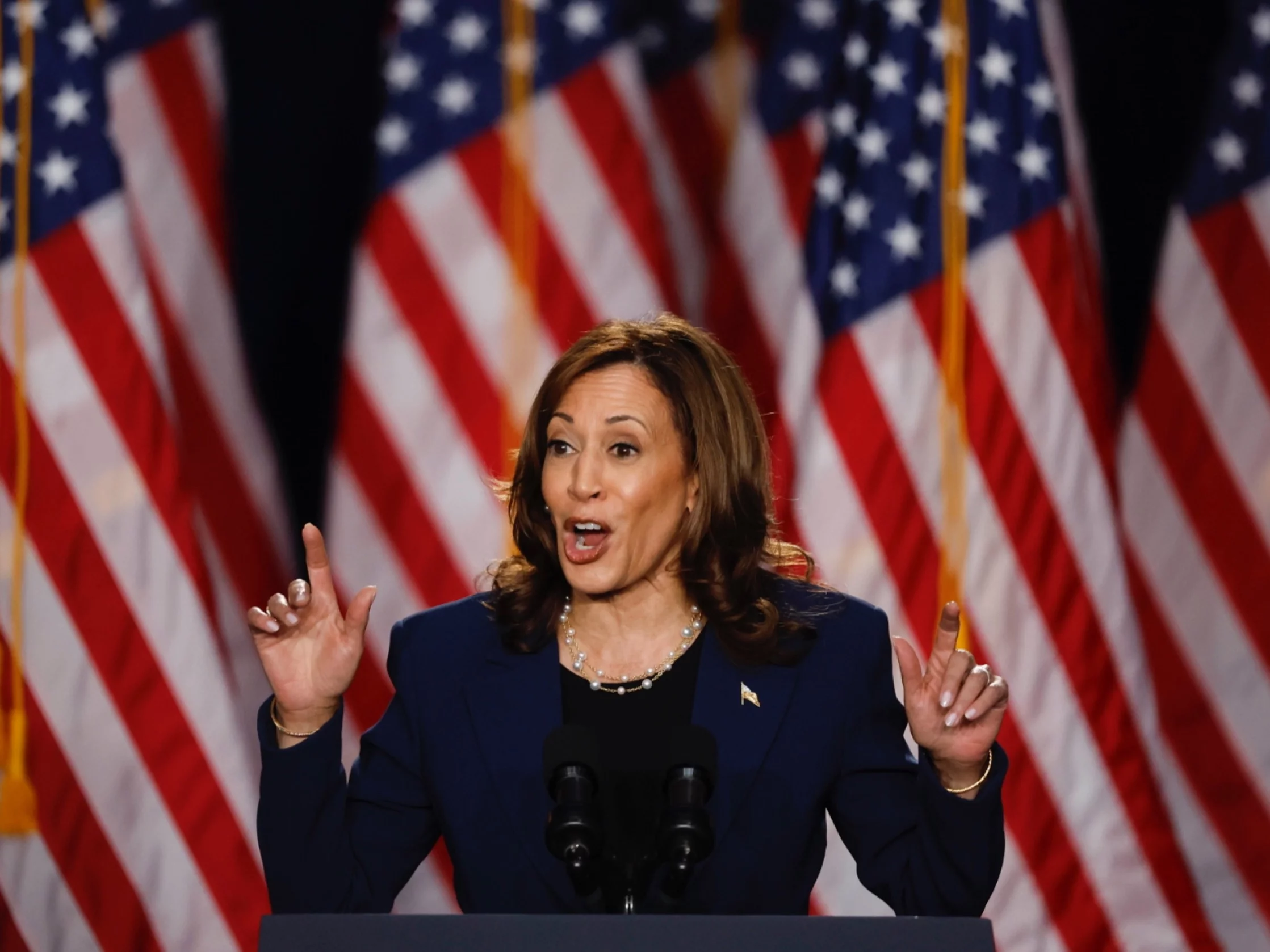 Wiceprezydentka Stanów Zjednoczonych Kamala Harris podczas wiecu w Wisconsin