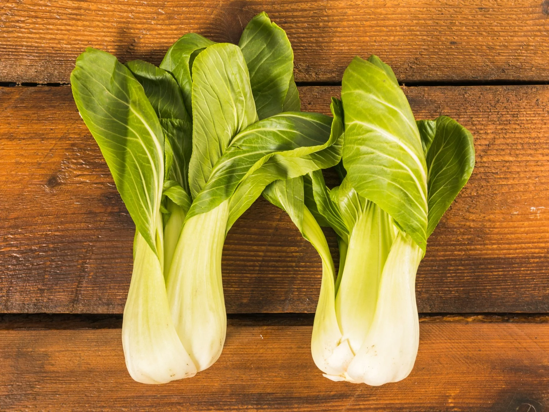 Bok choy