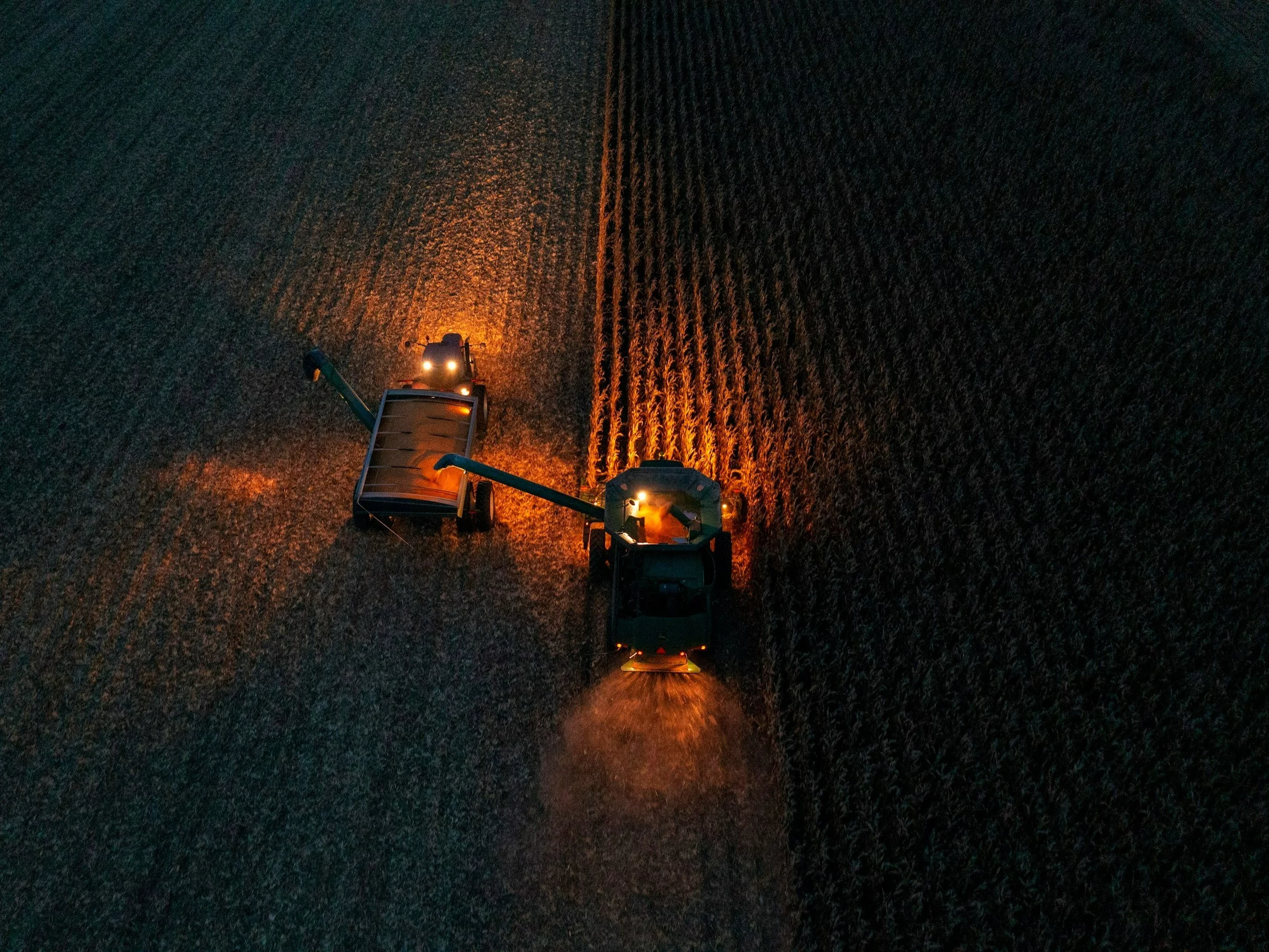 Nocna praca w polu