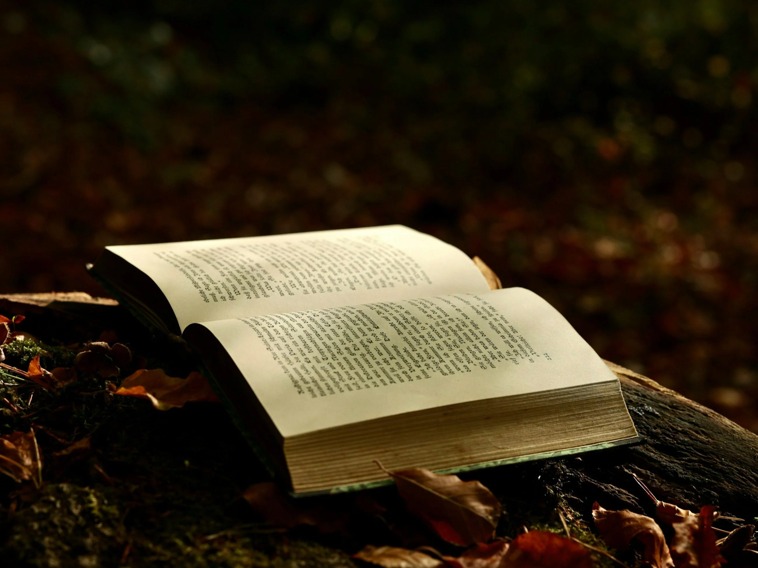 Burza wokół książki dziennikarki TVP Info. Padły poważne oskarżenia