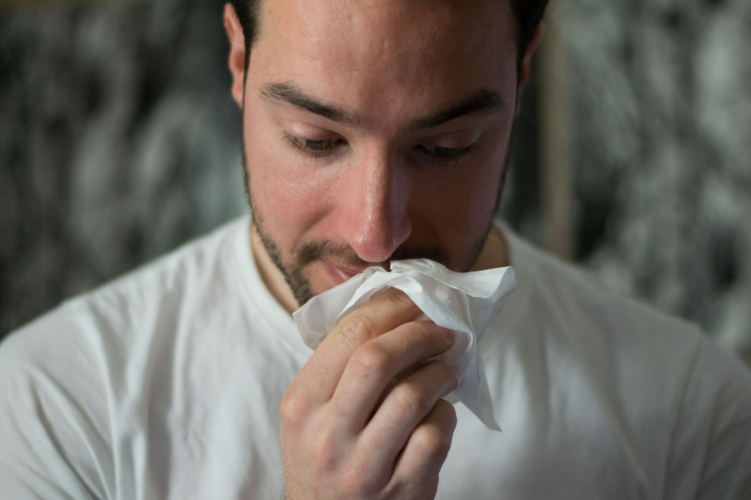 Alergia Objawy Przyczyny Alergeny Leczenie
