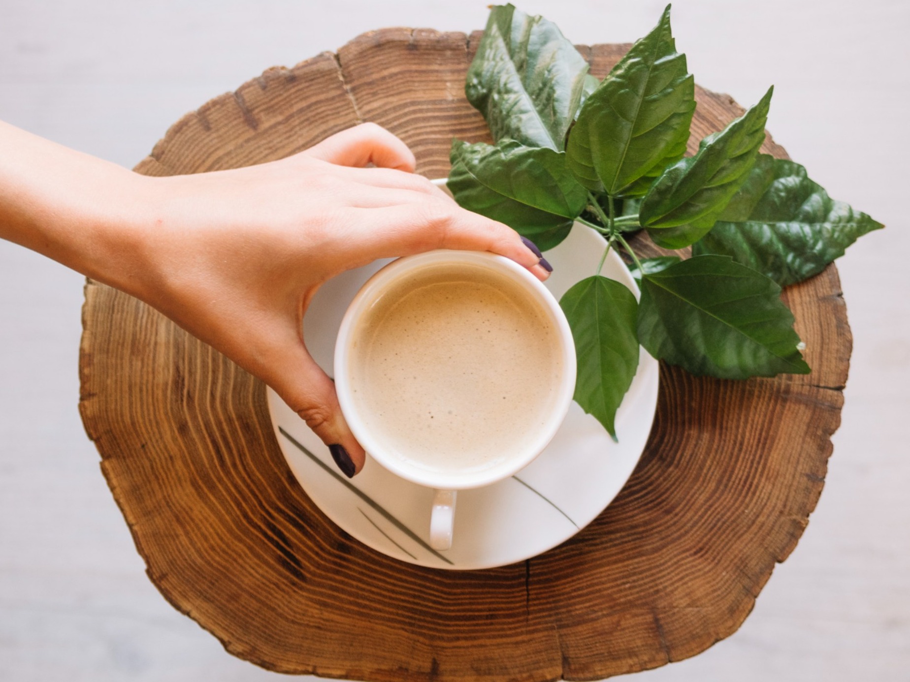 Odkąd dodaję te listki do kawy pozbyłam się wzdęć, a „mała czarna” smakuje jeszcze lepiej