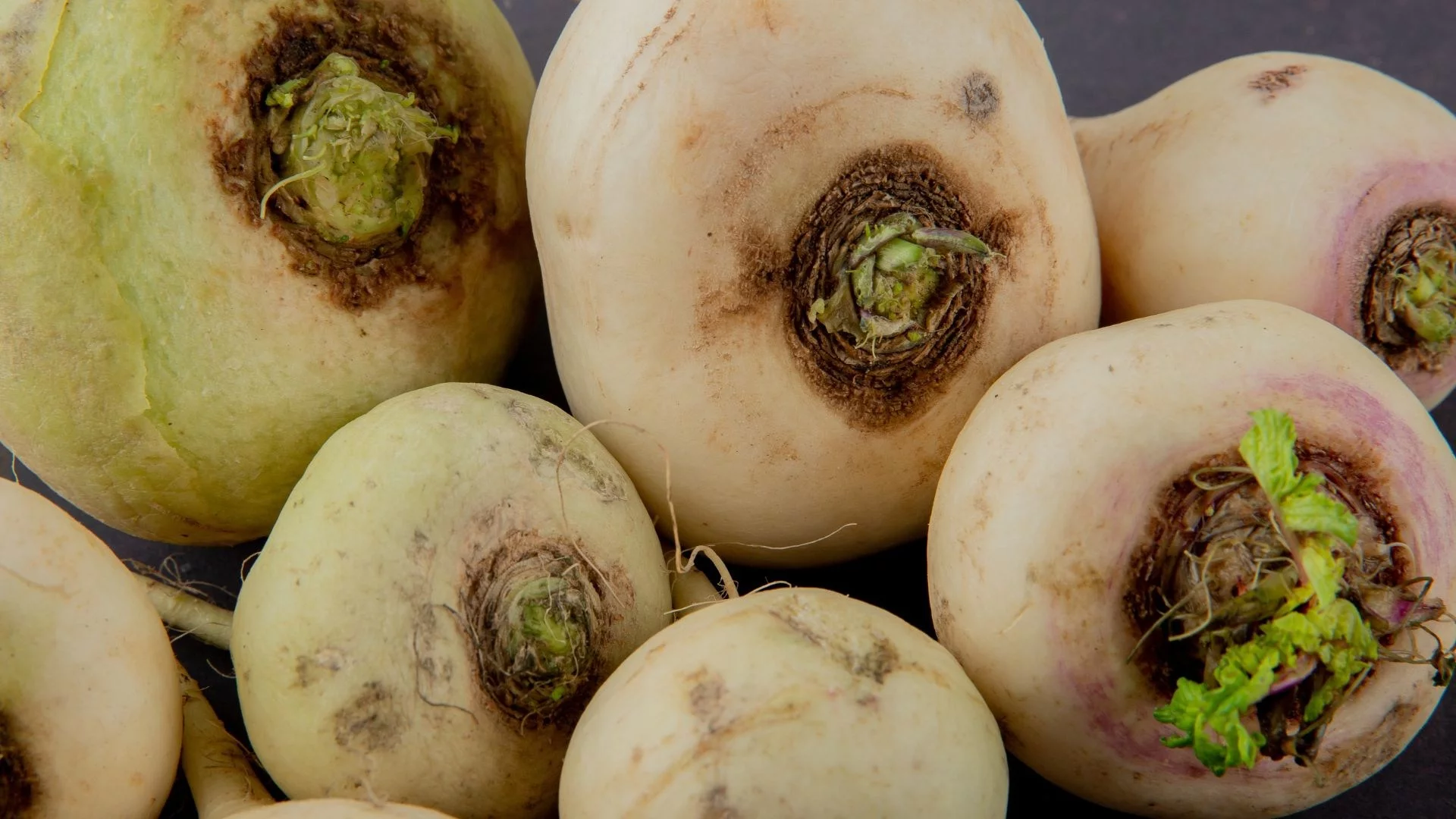 Rzepa, zdjęcie ilustracyjne