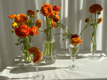 Kieliszki, karafki i butelki doskonale sprawdzą się w roli wazonów