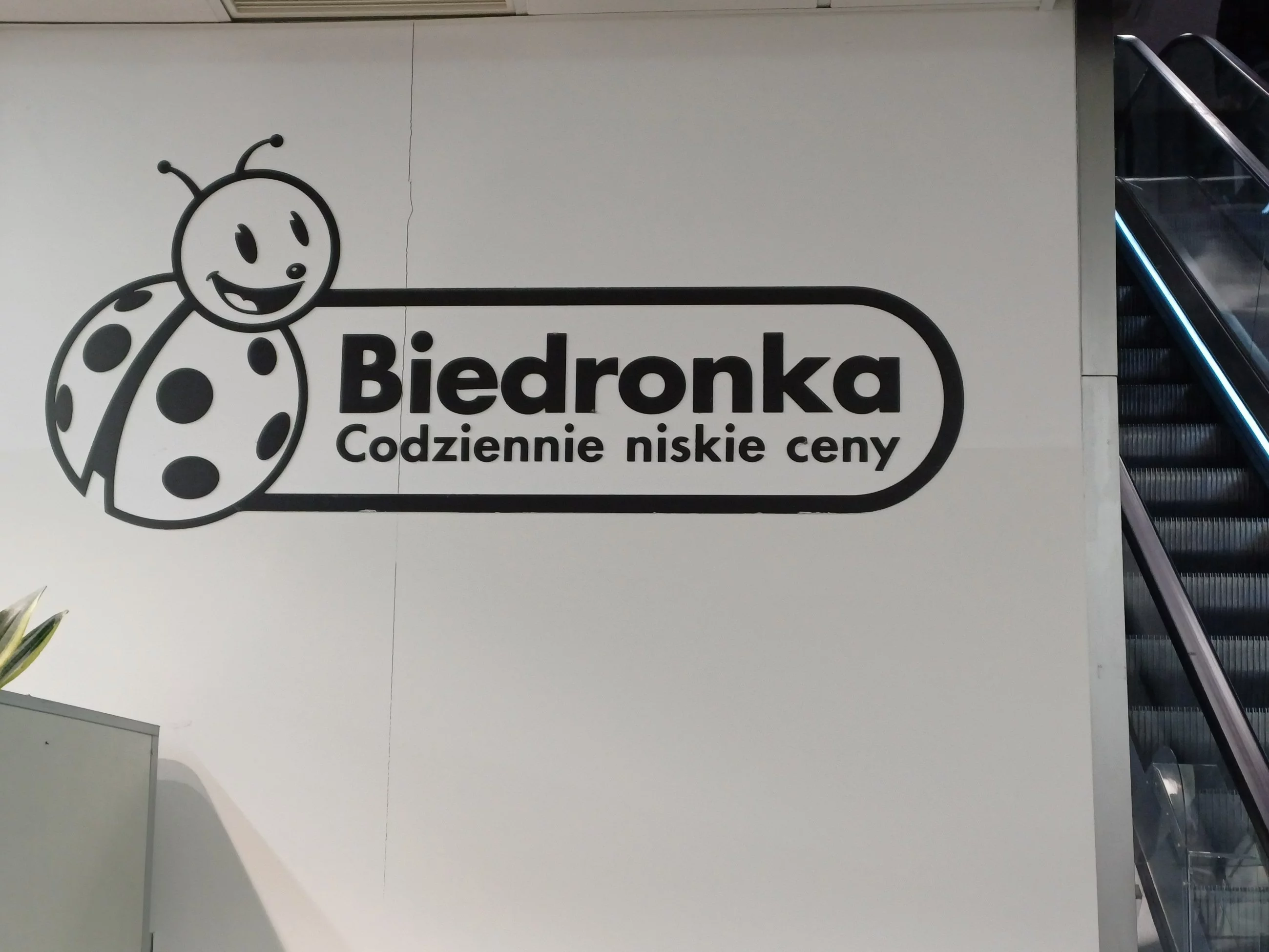 Logo sieci sklepów Biedronka