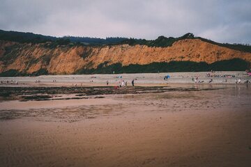 Klif i plaża w Sidmouth, zdjęcie ilustracyjne