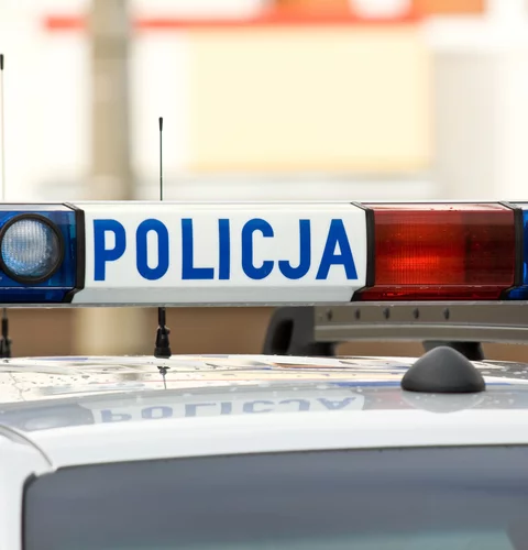 Policja, drogówka, radiowóz, kontrola / Fotolia.pl / Autor: bzyxx