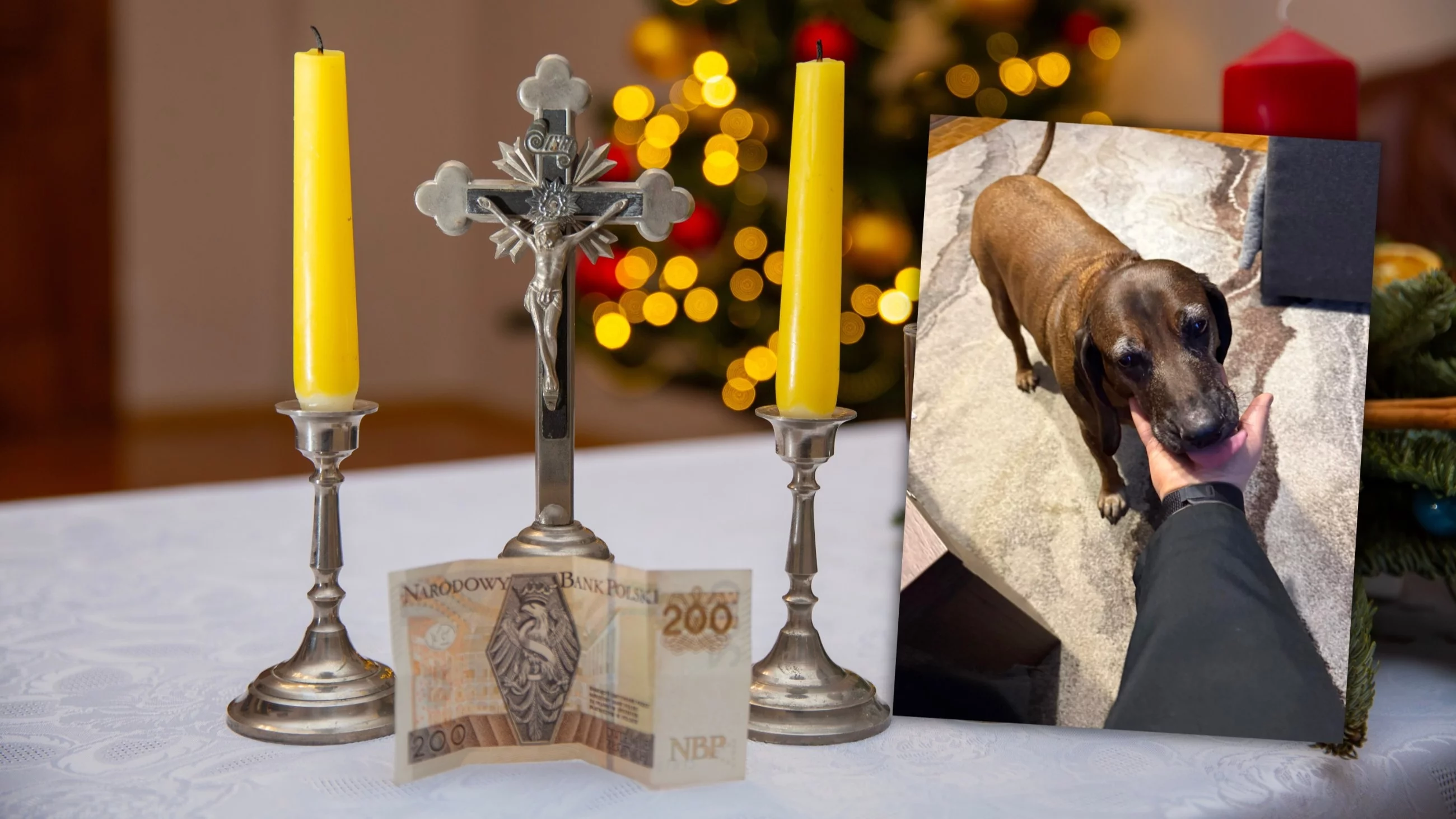 Stół przygotowany do kolędy, pies Frelka