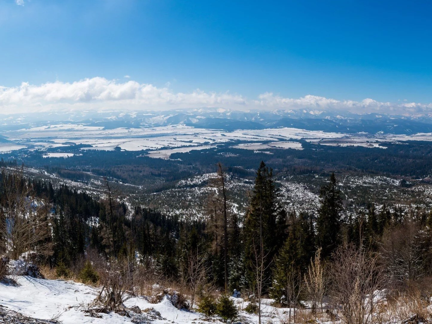 Tatry z daleka/zdj. poglądowe