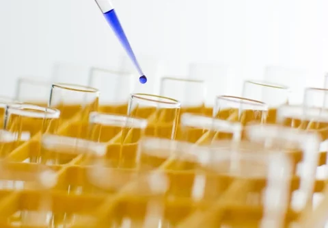 Komorowski podpisze ustawę o in vitro? (fot. sxc.hu)