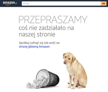 Komunikat o błędzie na stronie Amazon.pl