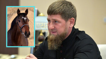 Koń Zaza i Ramzan Kadyrow