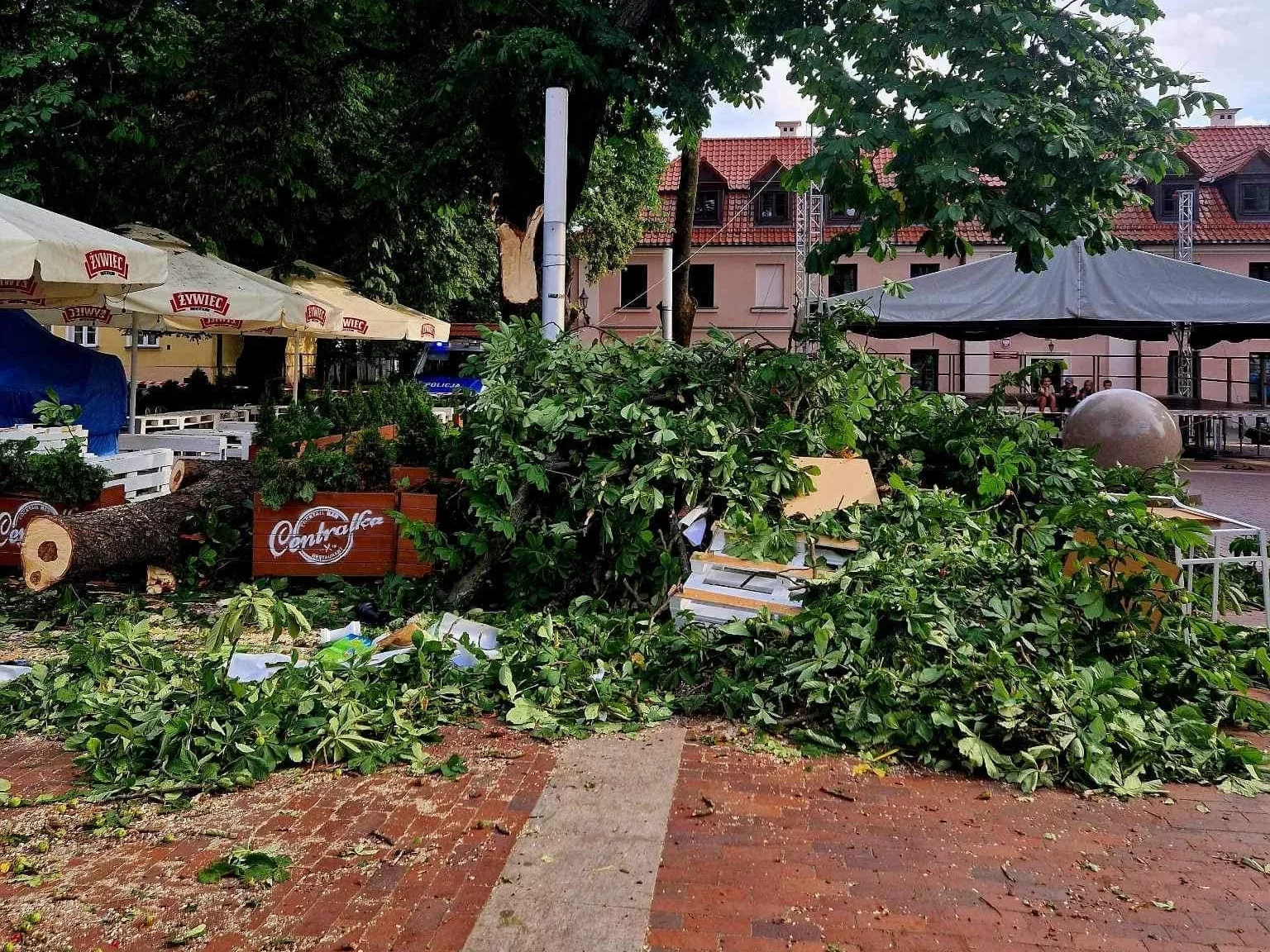 Konar spadł na ogródek kawiarniany w Zamościu