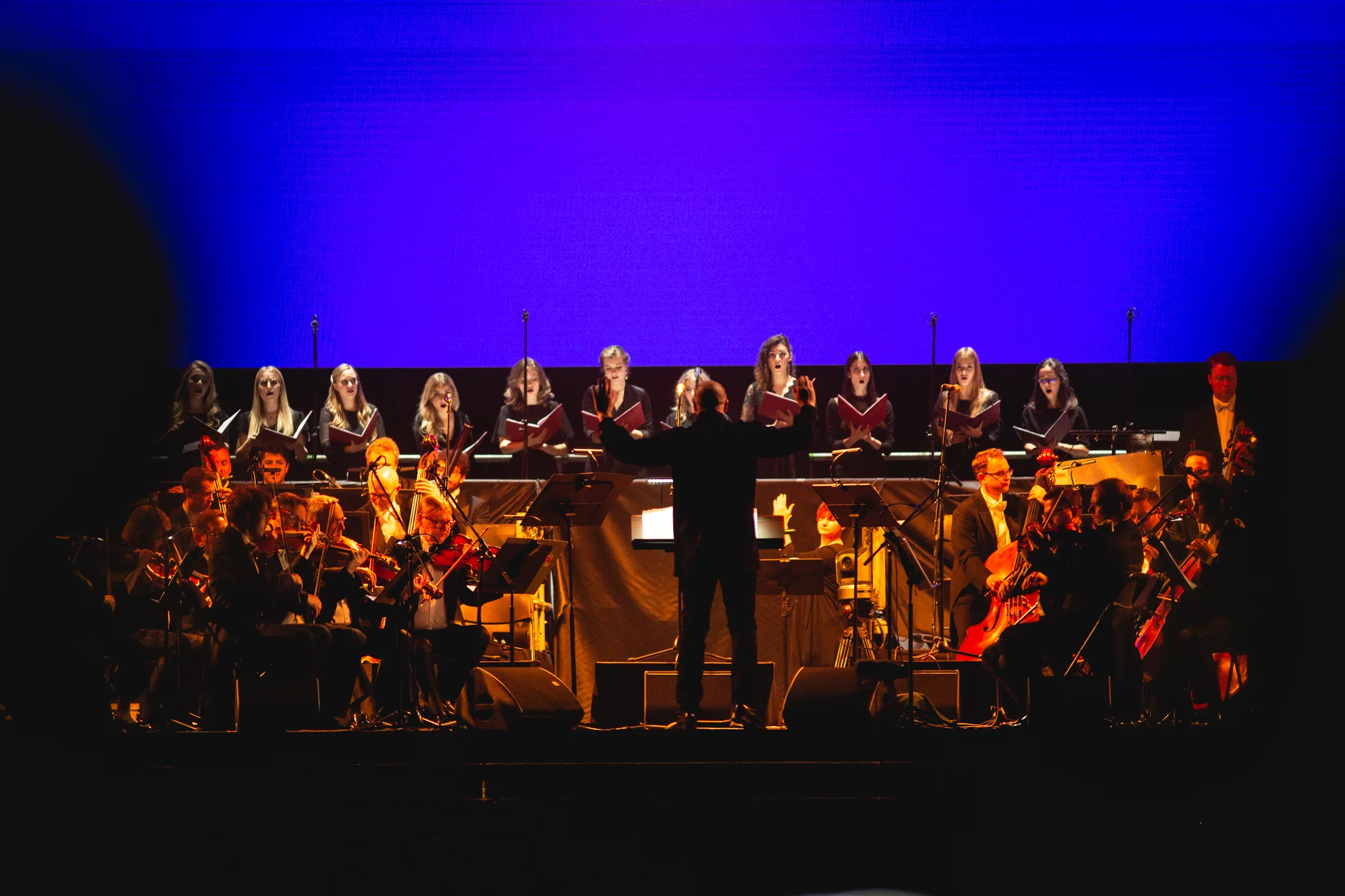 Koncert Preisner's Music