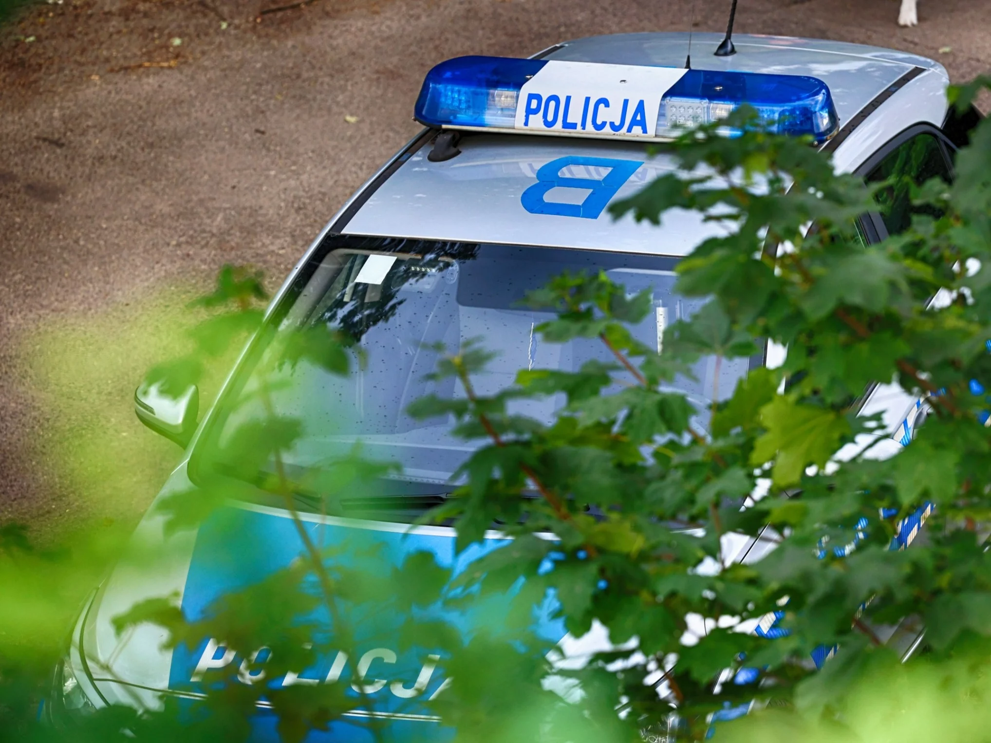 Konduktor wyprosił podróżnego z pociągu. Skandal przy stacji