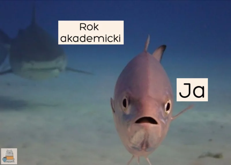 Mem na rozpoczęcie roku akademickiego