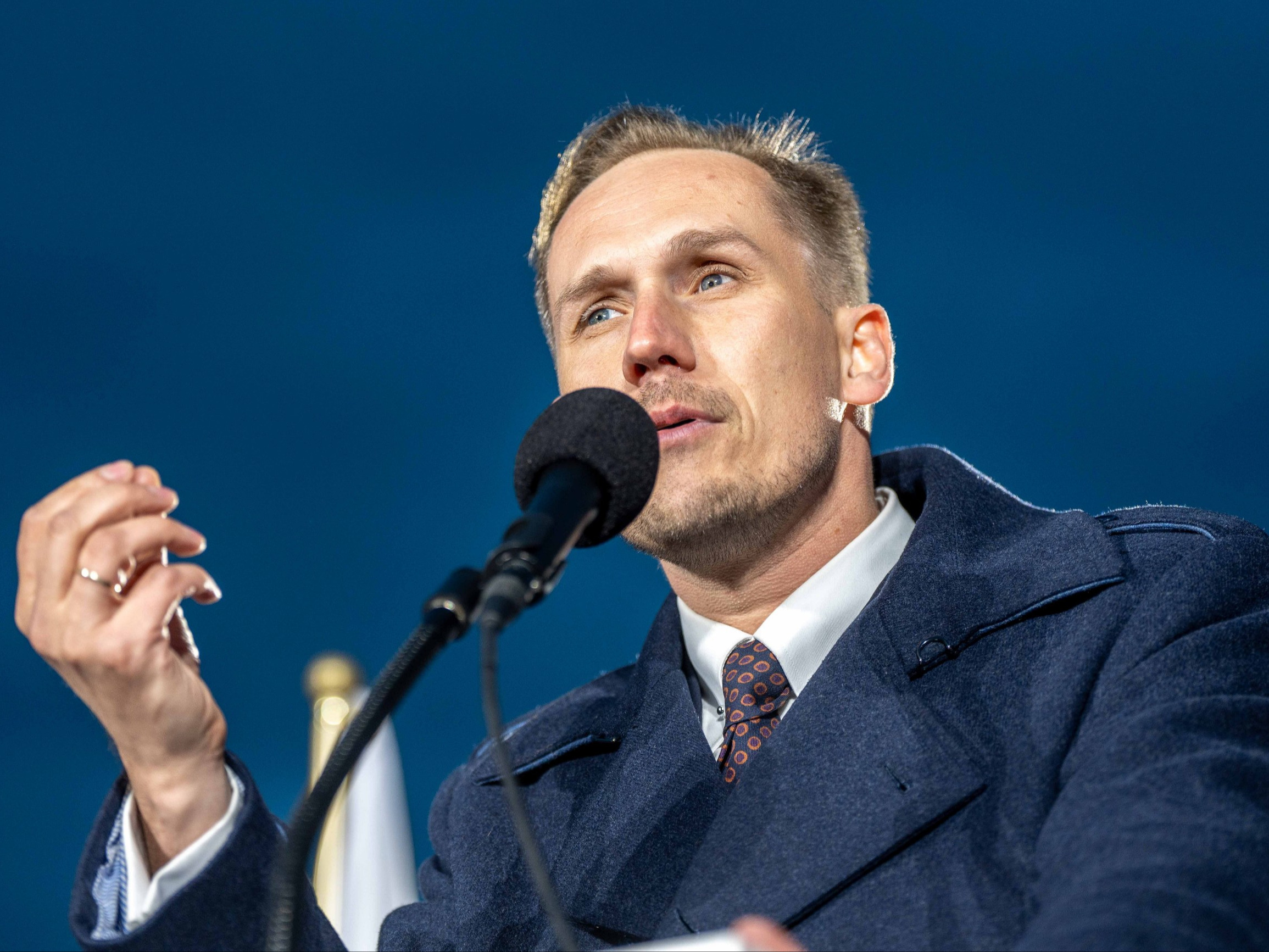 Polityk Konfederacji nie zapłacił za zakupy w IKEI. Zaskakująca pozycja w oświadczeniu majątkowym