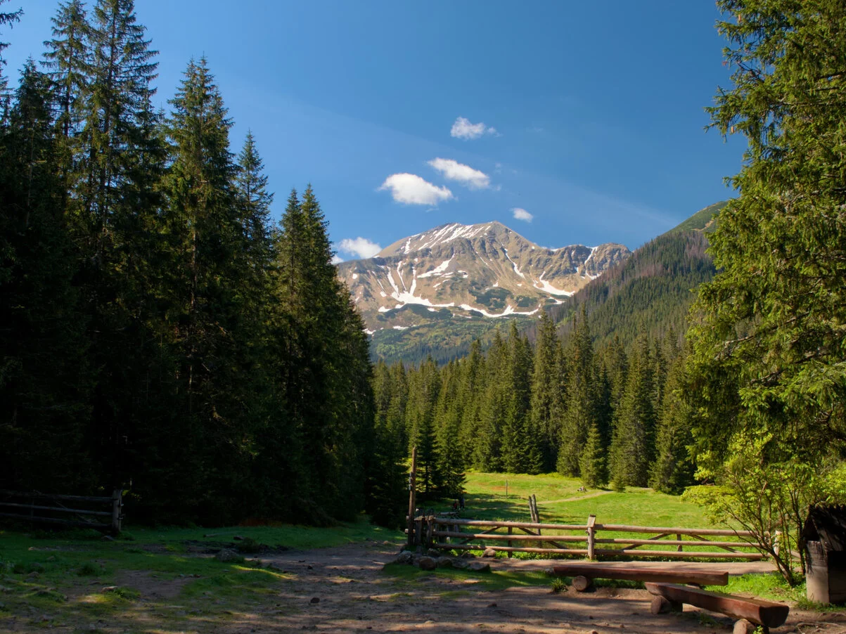 Tatry