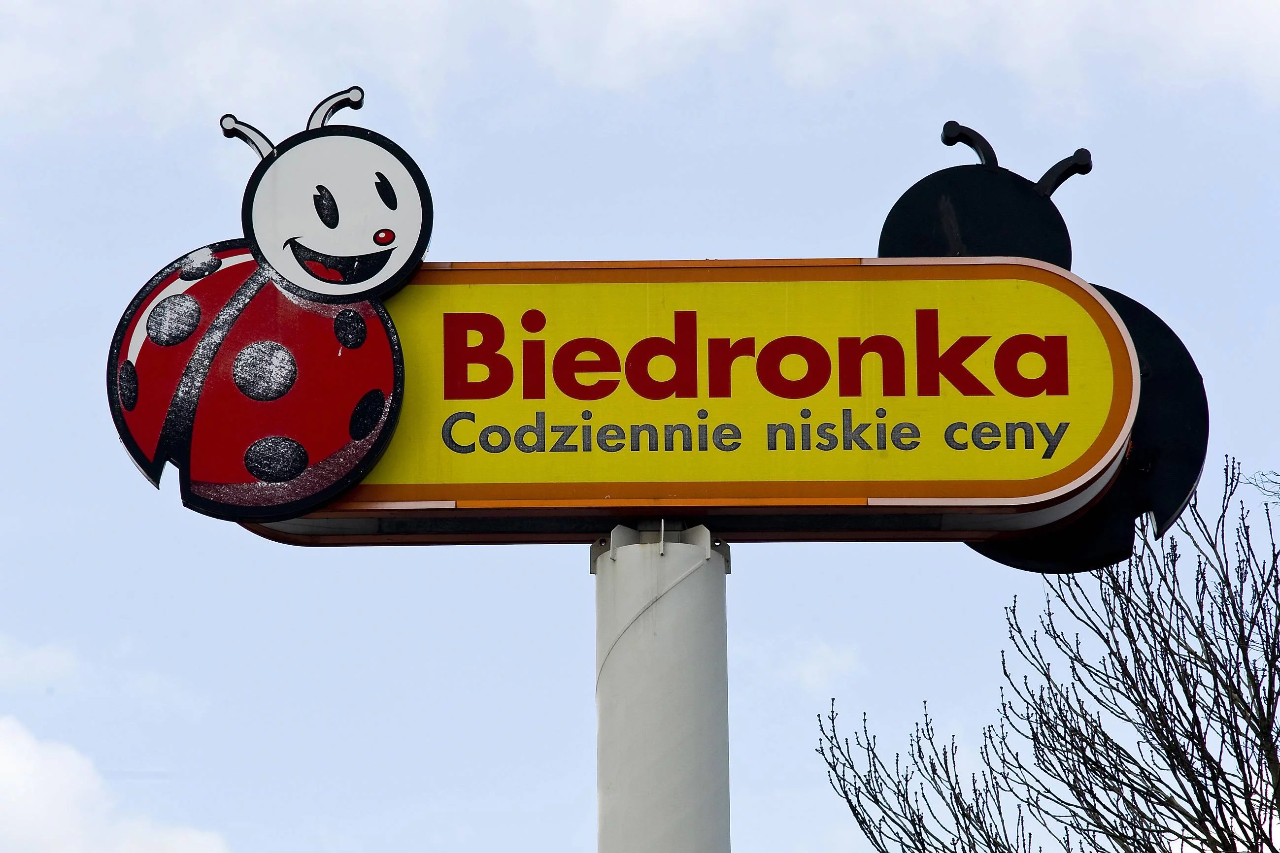 Biedronka