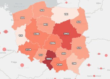Koronawirus w Polsce. Mapa zakażeń