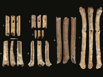 Kościane flety odnalezione przez archeologów