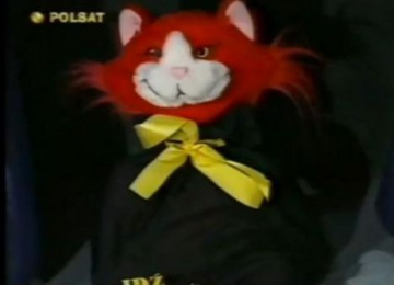 Kot Zonk z programu „Idź na całość”
