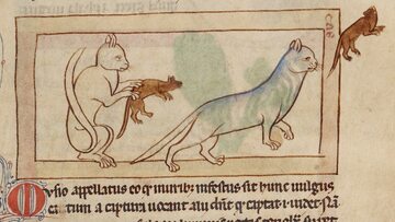 Koty na średniowiecznych miniaturach